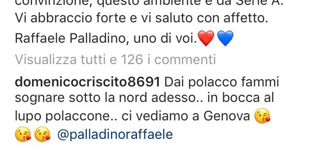 (dal profilo Instagram di Palladino)