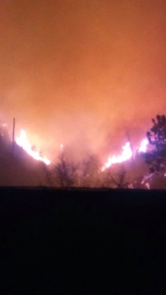 Le terribili immagini dell'incendio a Pegli (Davide Rossi, Pianetagenoa1893.net)