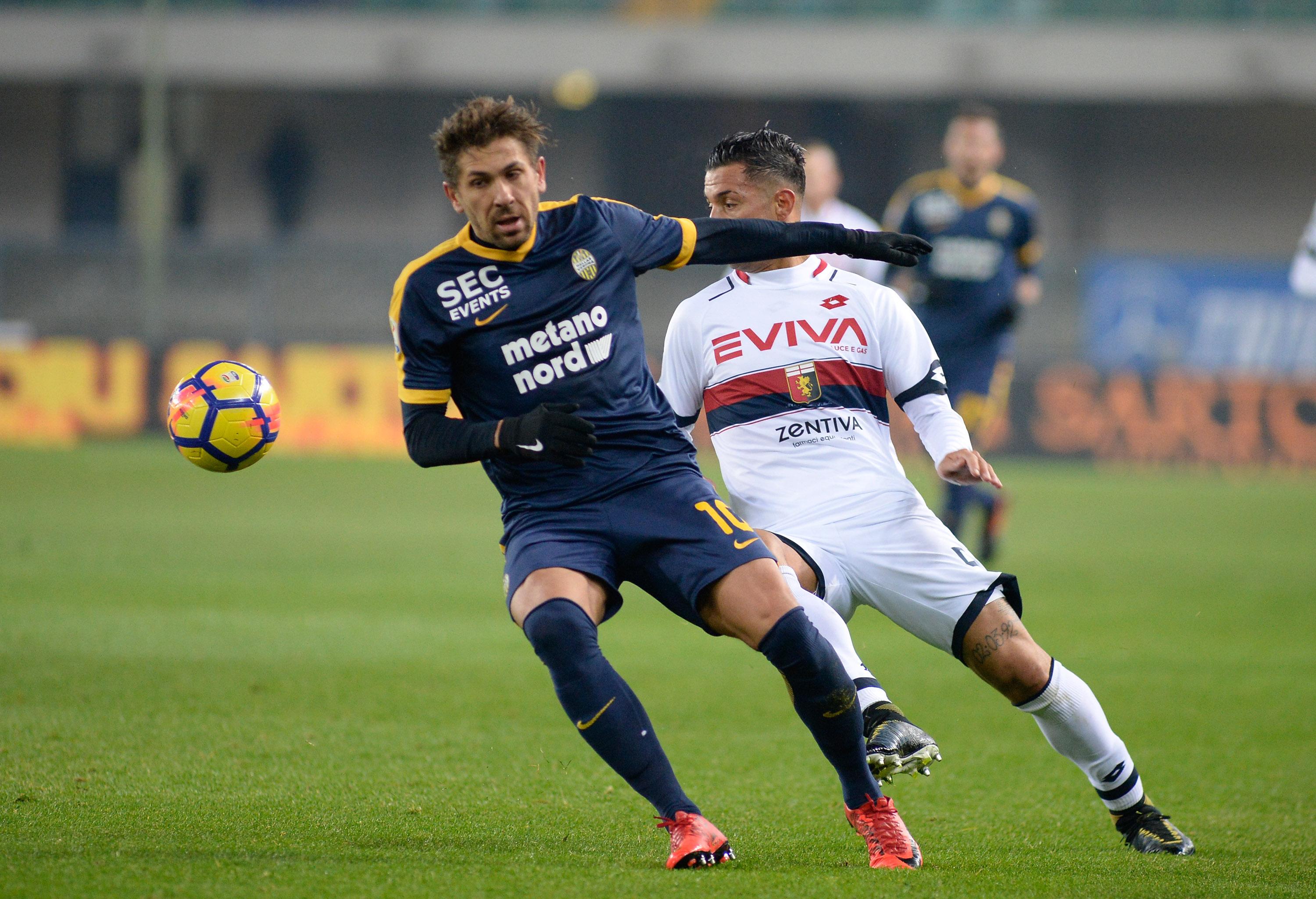 I tifosi del Genoa al Bentegodi (Foto Dino Panato/Getty Images)